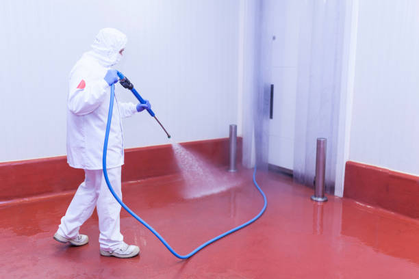 Best Dumpster Area Cleaning  in Sa De Oro Mount Helix, CA
